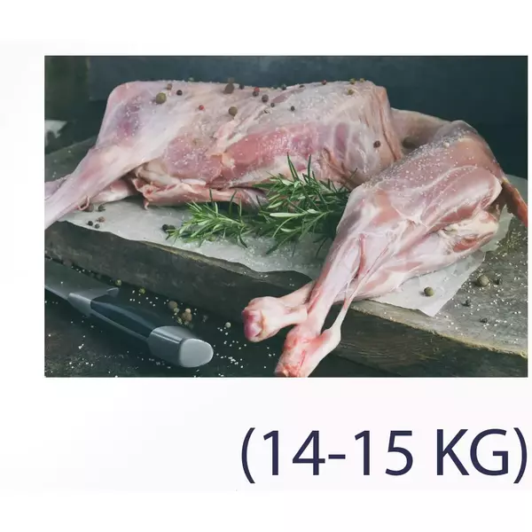 15 × كيلوغرام من خروف كامل مجمد من 14-15 كيلو “المسيلة”