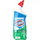 12 × 709 ml of Toilet Cleaner “Clorox”