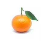 كيلوغرام من برتقال فالنسيا عصير - مصري