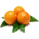 كرتون (15 كيلو) من برتقال مثالي للعصير -مصري