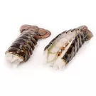 10 × Kilogram of Frozen Lobster Tail On 10-12 OZ “Al Messilah”