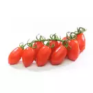 كيلوغرام من طماطم سان مارزانو روما - كويتي