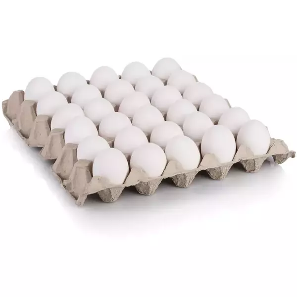 12 × صينية (30 قطعة) من بيض كويتي محلي حجم كبير 60/70
