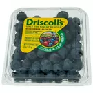 Plastic Box (170 gm) of Blueberry - USA