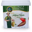 12 × Bucket (420 gm) of White Cheese “Farmland”